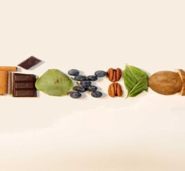 Various nuts, chocolate, and seeds arranged in a row on a light background.