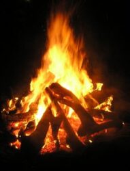 Blazing campfire against dark night sky.