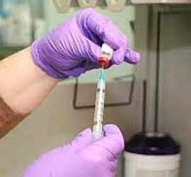 Gloved hands preparing vaccine syringe in lab.