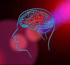 Brain illustration with red and blue lights.